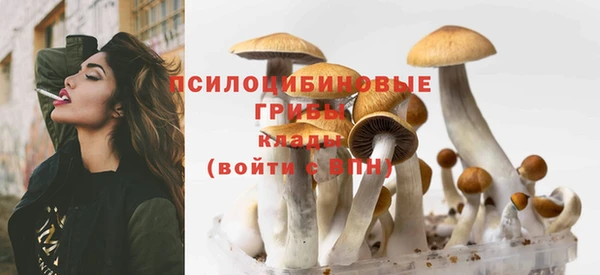 таблы Магас